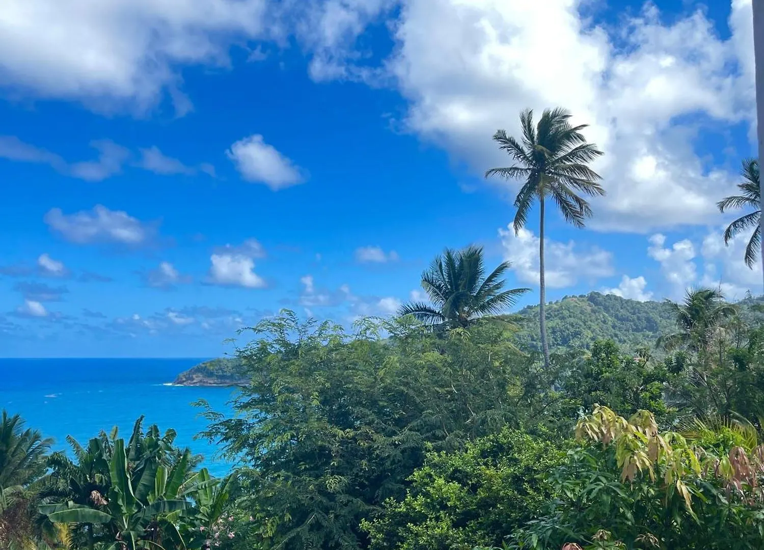 게스트하우스 Happy Nest Dominica 호텔 Marigot