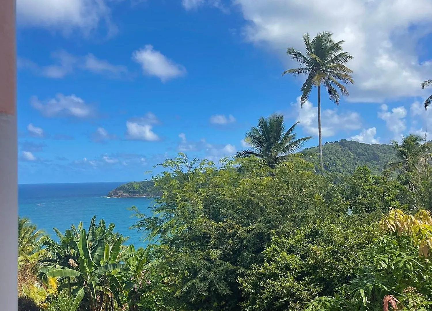 Happy Nest Dominica 호텔 Marigot 0*,  도미니카